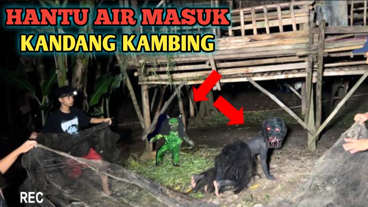 VIRAL ‼️KUYANG MAKAN KAMBING MIRIP HANTU AIR