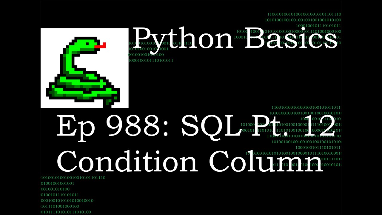 Python Basics Tutorial Our SQL Journey Pt 12 Case, like and lower | Creating a new Condition Column