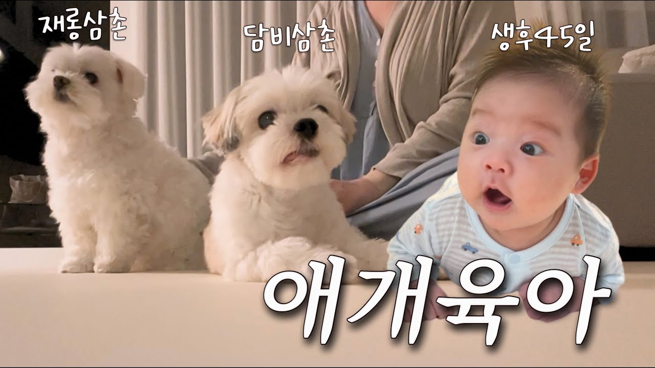 태어나 보니 삼촌부자인 아기의 하루