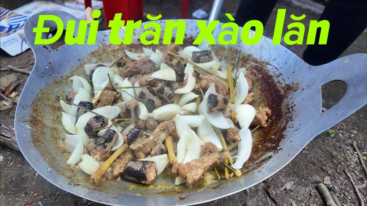 Đui trăn xào lăn | thánh sầu đâu 