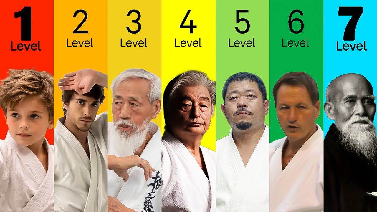 The 7 Levels of Aikido