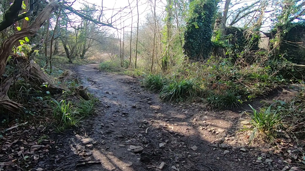Olchfa to Clyne Valley Offroad