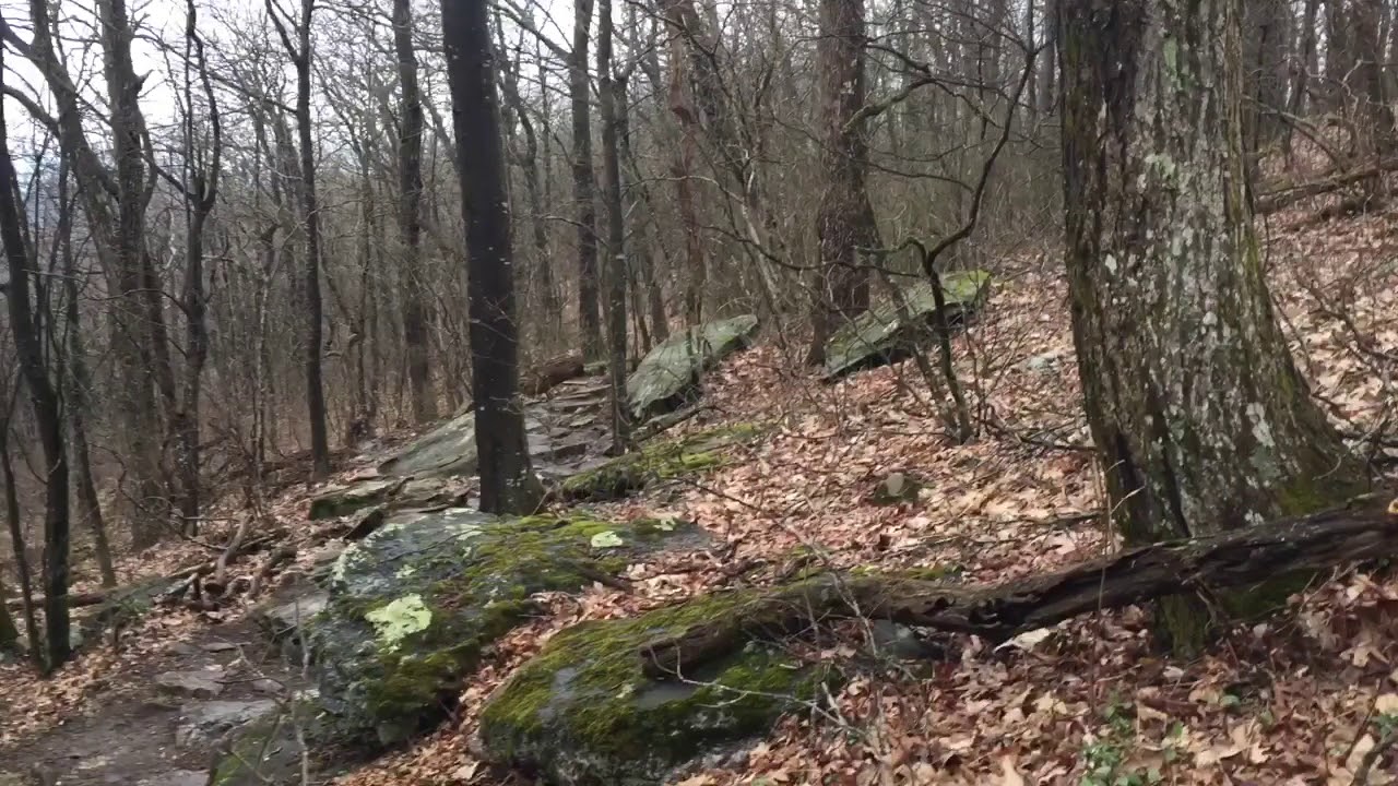 AT Thru-Hike 2018 Day 1