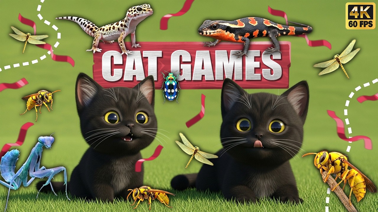 CAT GAMES 🐾3D Game for Cats | Video for Cats  – Ultimate CAT TV #148😻 4K60FPS
