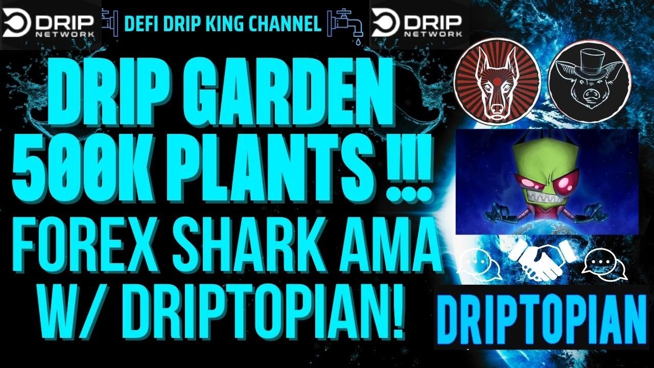 DRIP GARDEN 500,000 PLANTS UNLOCKED! 🪴💧 FOREX SHARK AMA HIGHLIGHTS W/ DRIPTOPIAN! (DRIP NETWORK) 🦈🔥💧