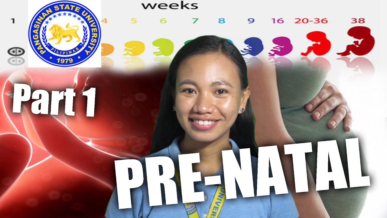 PRE-NATAL DEVELOPMENT (Part 1)