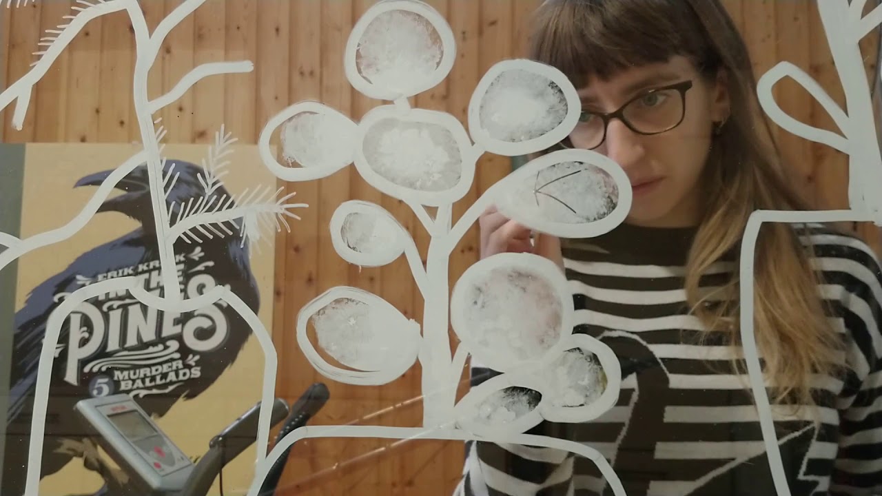 13 Raamtekenen voor dummies met Leslie Saurus