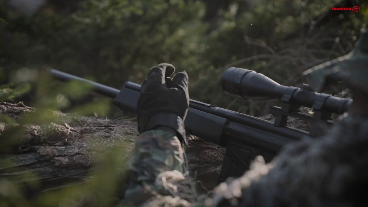 Heckler & Koch PSG1 cal. 6 mm BB Gas-Operated