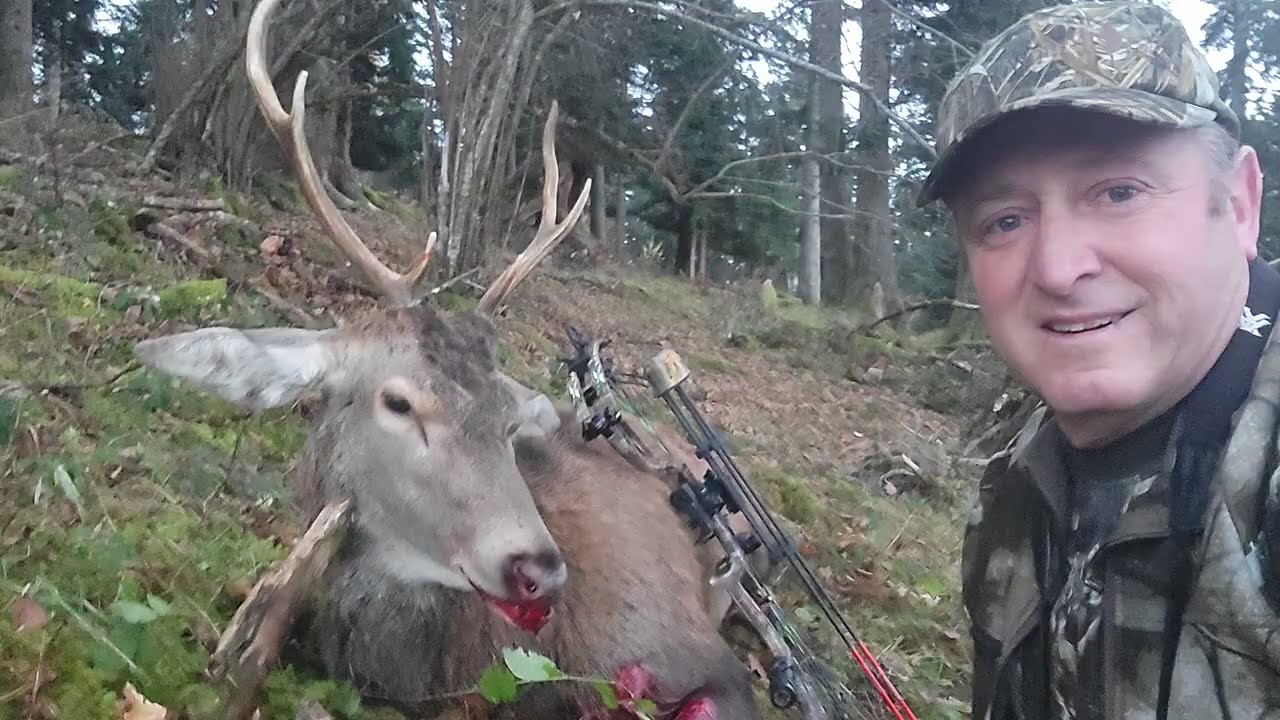 chasse au cerf a l'arc