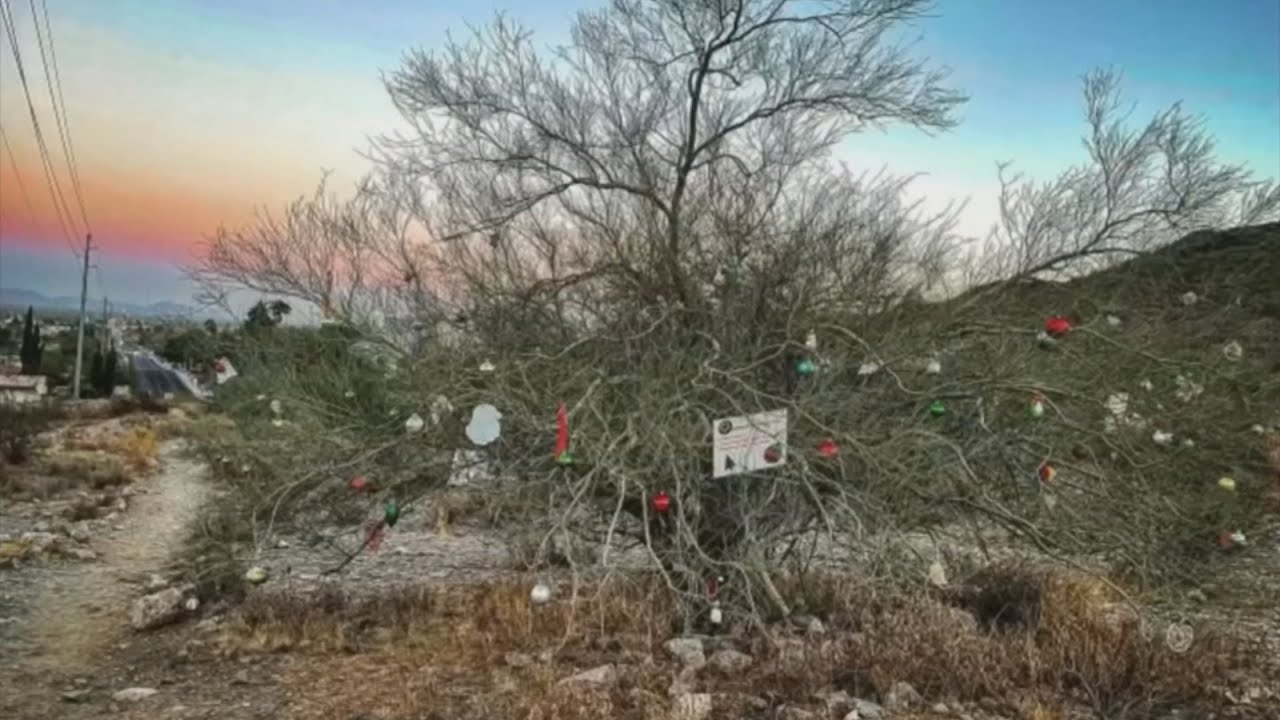 North Phoenix neighborhood upset over Christmas decoration removal