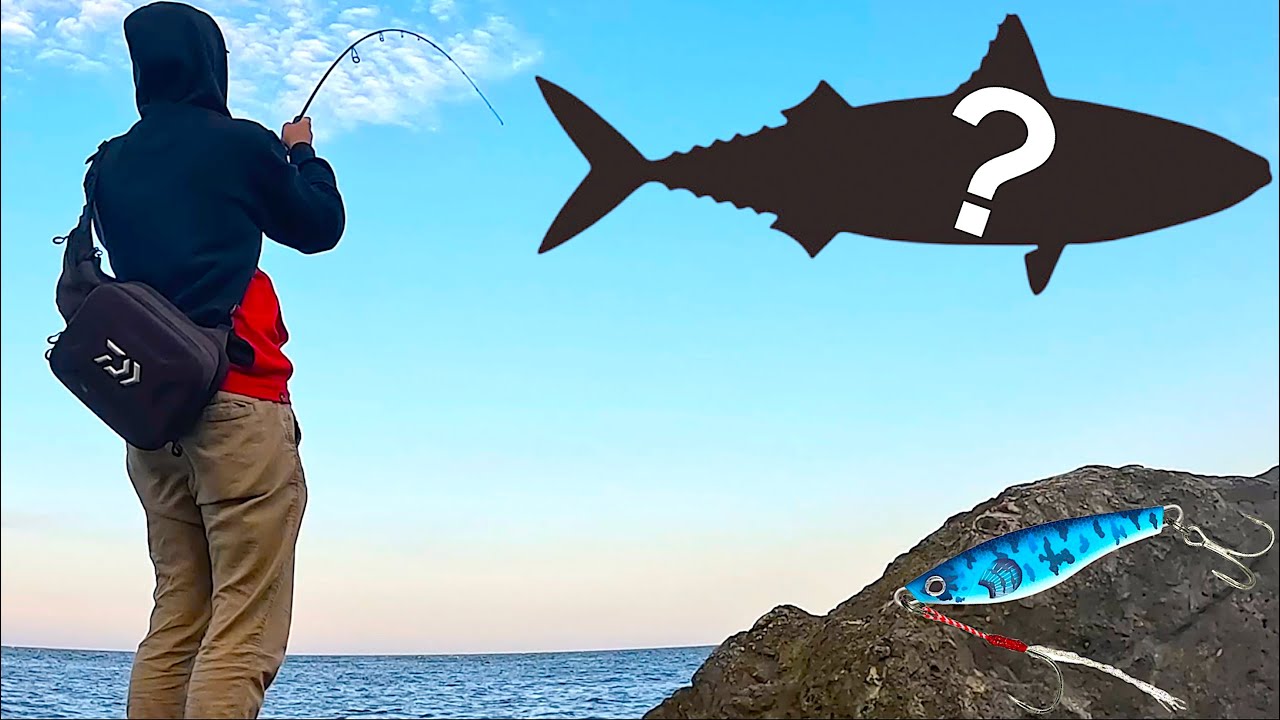 Il MARE si Risveglia! TANTISSIME SPECIE a Ultralight Spinning da Riva con il Micro Metal Jig