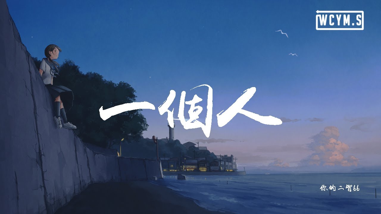 你的二智bb - 一个人  「一个人宿醉深夜酒吧里，一个人暗涌的泪狠狠憋回去」【動態歌詞/Lyrics Video】
