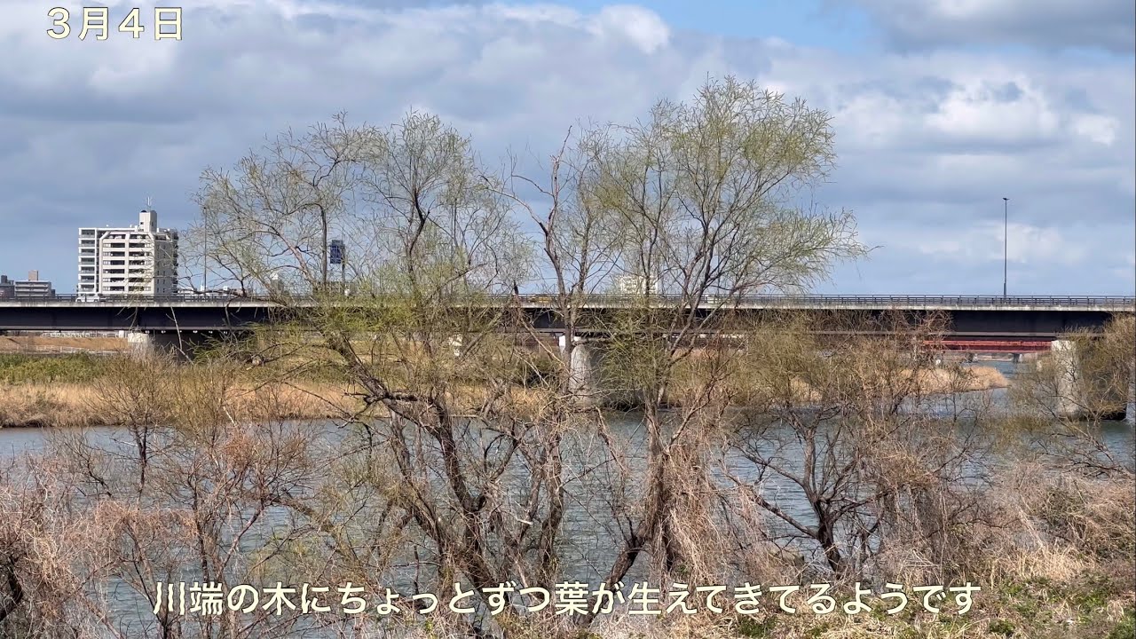 当たり前のことにプチ感動（３月２〜６日）