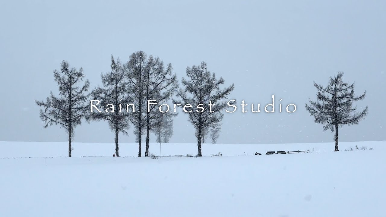 Winter in Hokkaido: Biei 1 [4K]