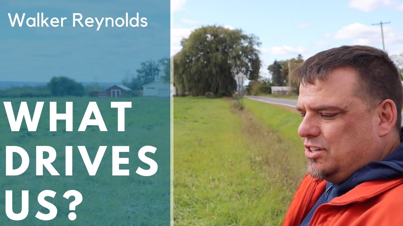 What drives us?