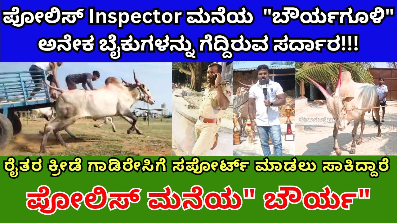 ಬೌರ್ಯಗೂಳಿಯನ್ನು ರೈತರ ಕ್ರೀಡೆಯಾದ ಗಾಡಿರೇಸಿಗೆ ಸಪೋರ್ಟ್ ಮಾಡಲು ಸಾಕಿದ್ದಾರೆ ಪೋಲಿಸ್ಮನೆಯ ಬೌರ್ಯ ಬೈಕುಗಳನ್ನು ಸರ್ದಾರ