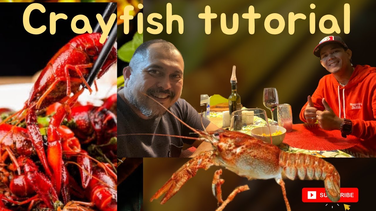 HOW TO START CRAYFISH FARMING - TUTORIAL WITH Allen aka FISH KADA! We’re back as YouTube partner! ❤️