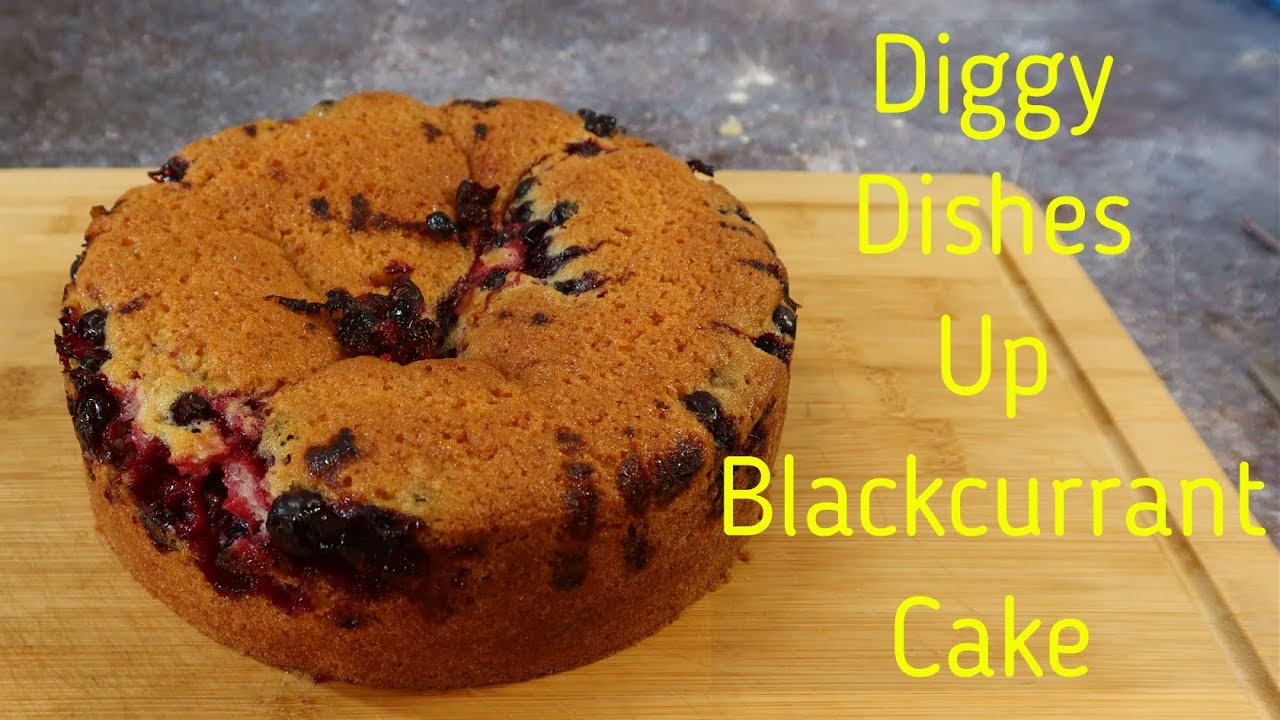 A Plot to Plate Blackcurrant Cake | Diggy Dishes Up!