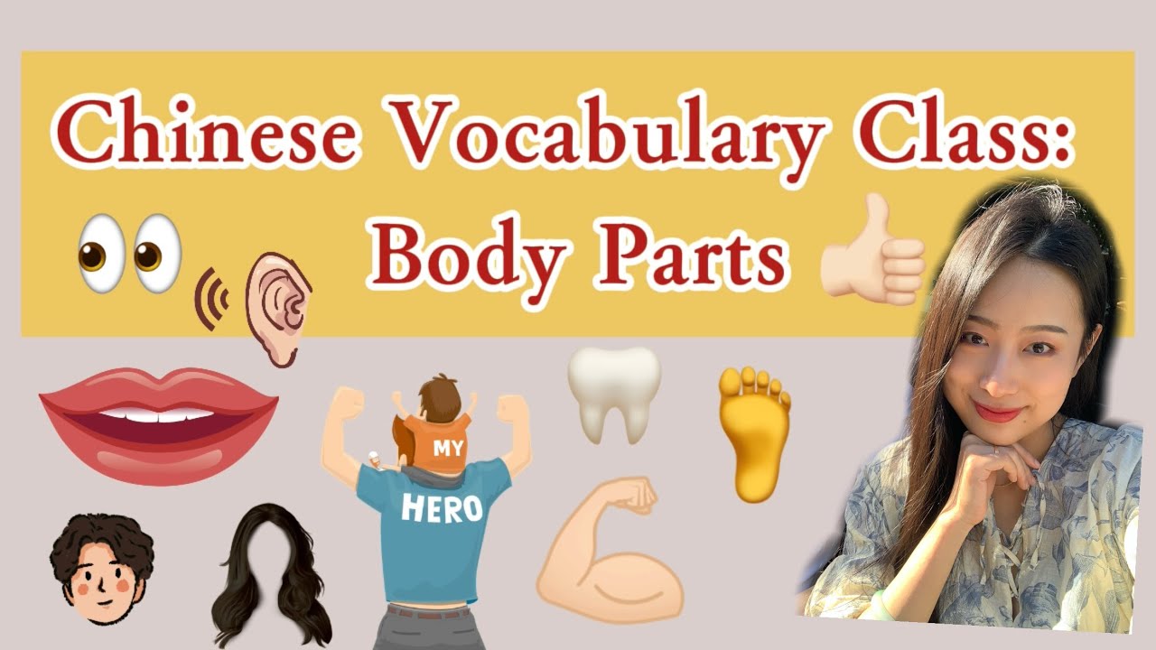 The Ultimate Chinese Body Parts: Learn with Visuals, Writing & Practice!