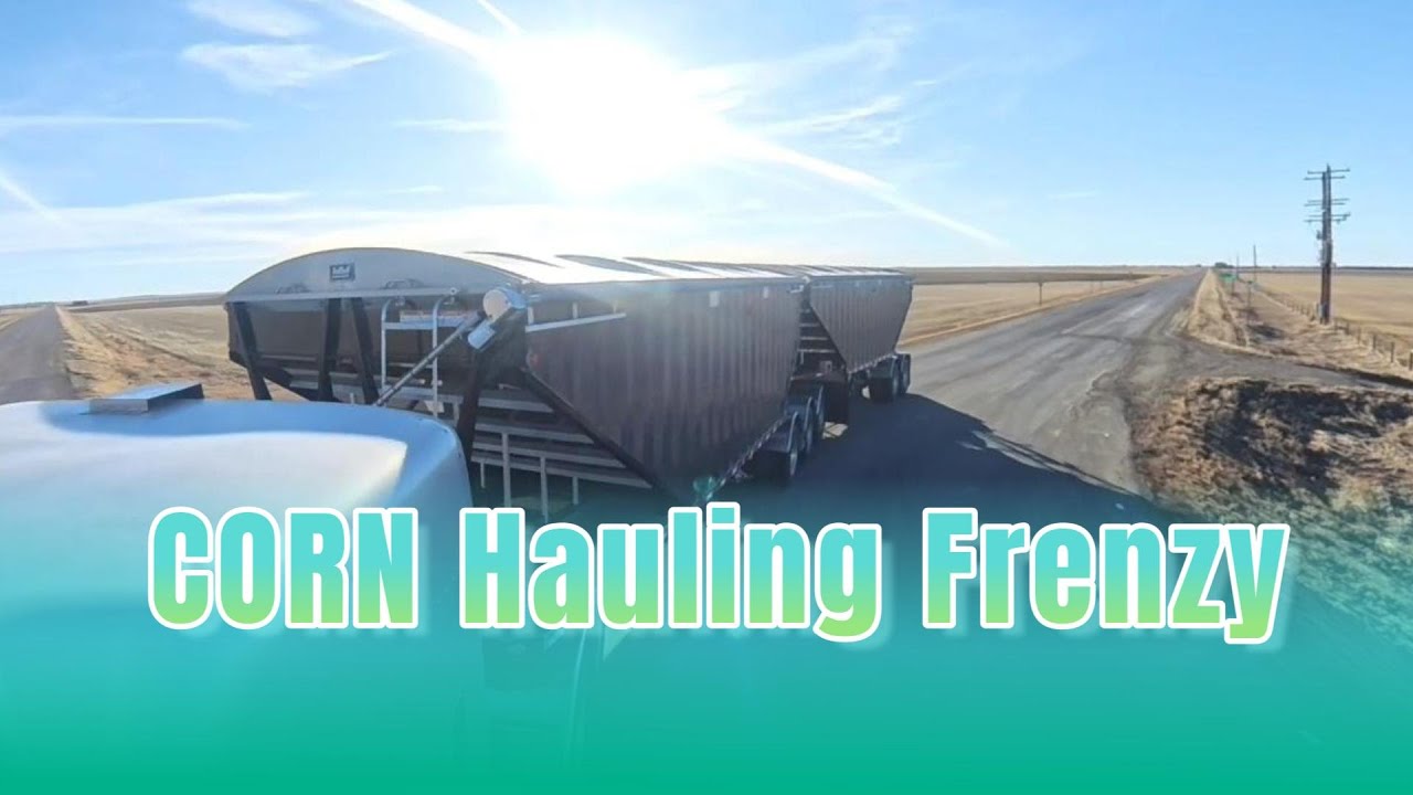 February Freight Frenzy - Corn