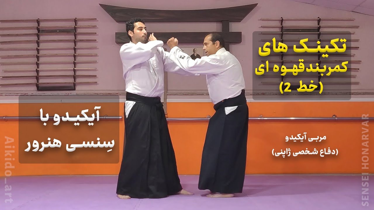 تکنیکهای آیکیدو خط ۲ برای آزمون  کمربند آبی (قهوه‌ای ۲). Aikido techniques Q2 ، آیکیدو دفاع شخصی