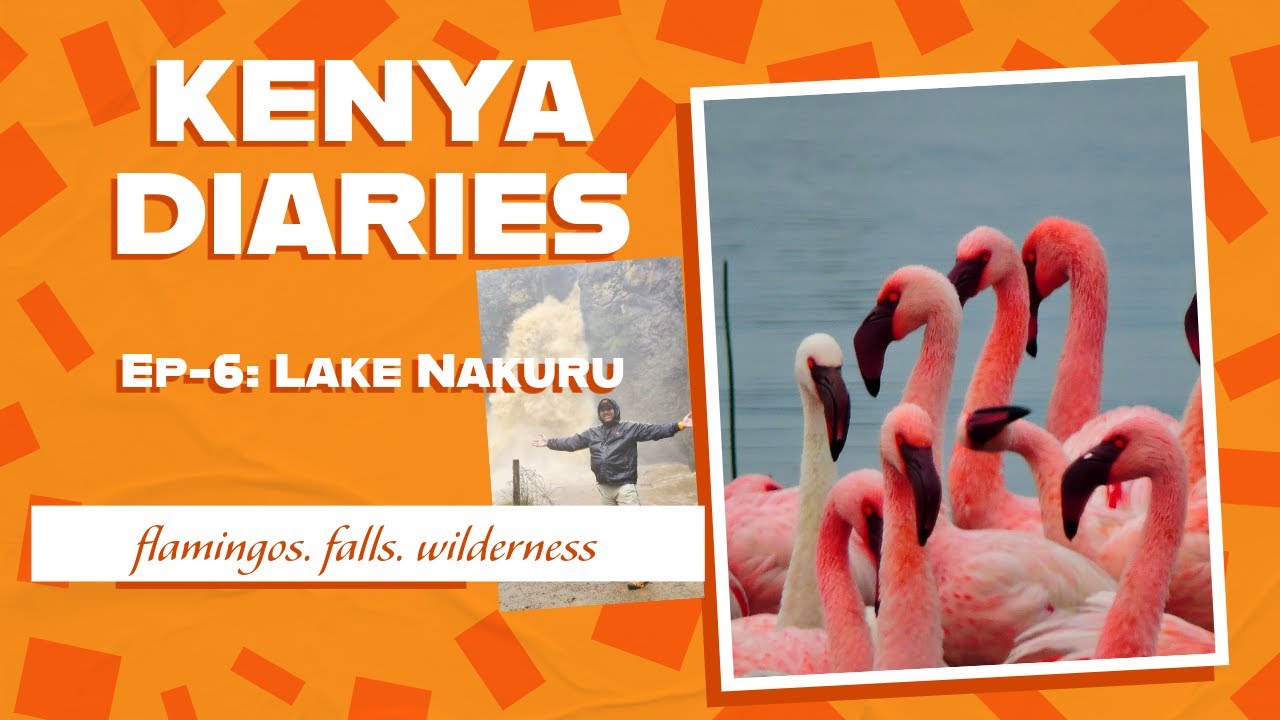 LAKE NAKURU National Park Vlog | PART2 DAY5 - FLAMINGOS, NAKURU LODGE, MAKALIA FALLS, WILDLIFE