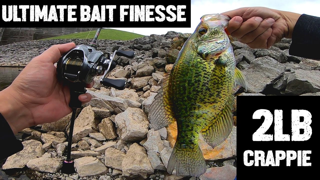ULTIMATE BAIT FINESSE: BATTLES 2LB CRAPPIE SLAB AND OTHER SPECIES!