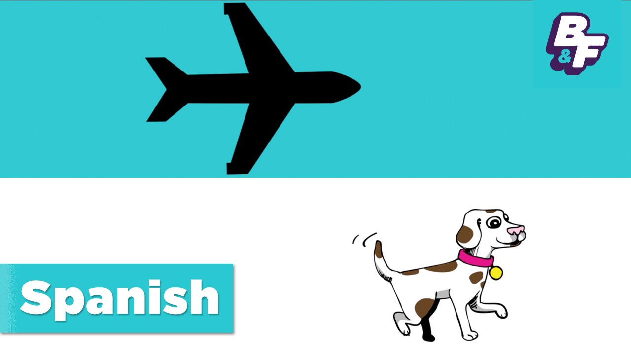 Learn Spanish transportation words with BASHO & FRIENDS - Como Vamos