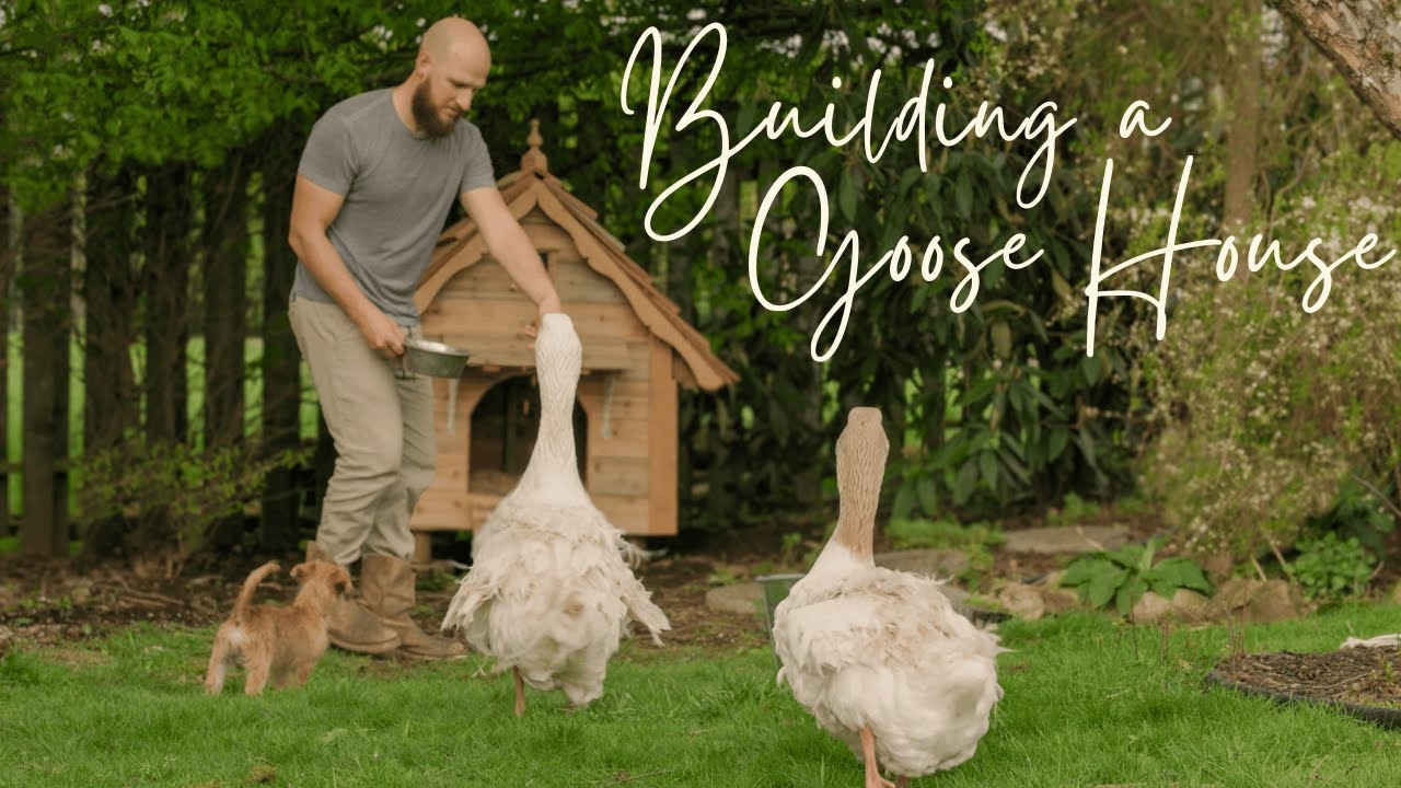 #17 Peaceful Countryside Vlog | Building our Sebastopol Geese their Dream Home Start to Finish