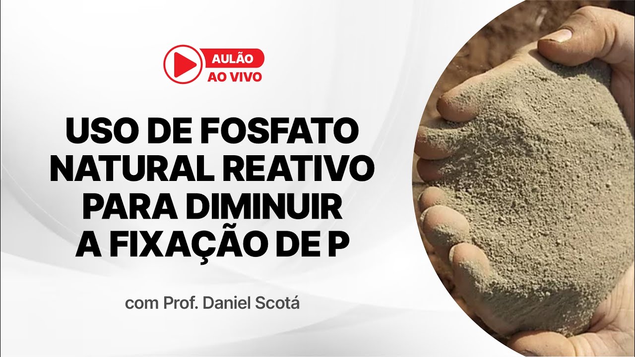 USO DE FOSFATO NATURAL REATIVO PARA DIMINUIR A FIXAÇÃO DE P