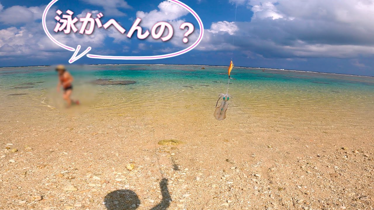 【宮古島エギング】海水浴のはずが、突如イカ出現、、そりゃエギ投げるっしょ！