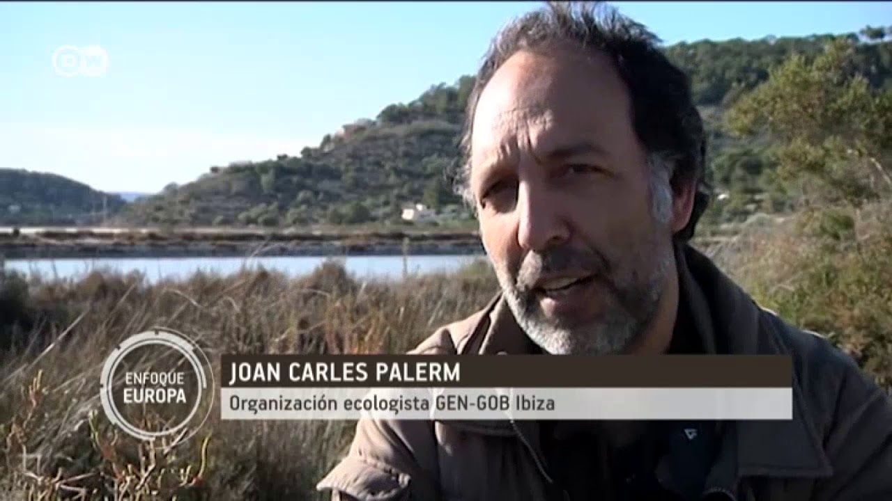 España: flamencos contra el turismo masivo | Enfoque Europa