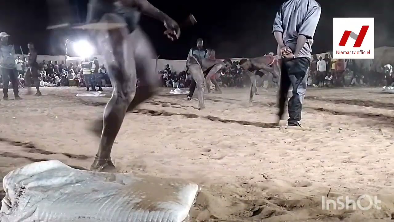 Démi final poids léger ndiol dolé vs ngagne sene n2 à nguethi le 11 janvier 2026