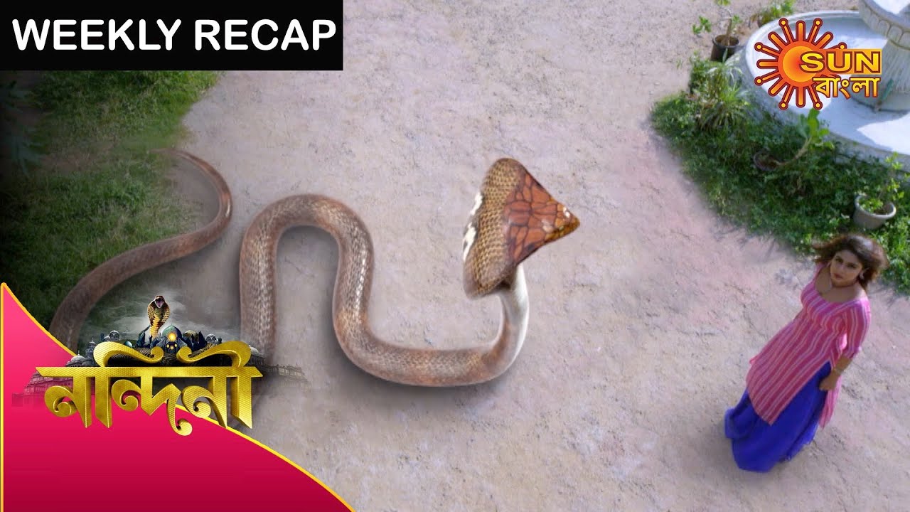Nandini - Weekly Recap | 04 Oct - 10 Oct 2020 | Sun Bangla TV Serial | Bengali Serial