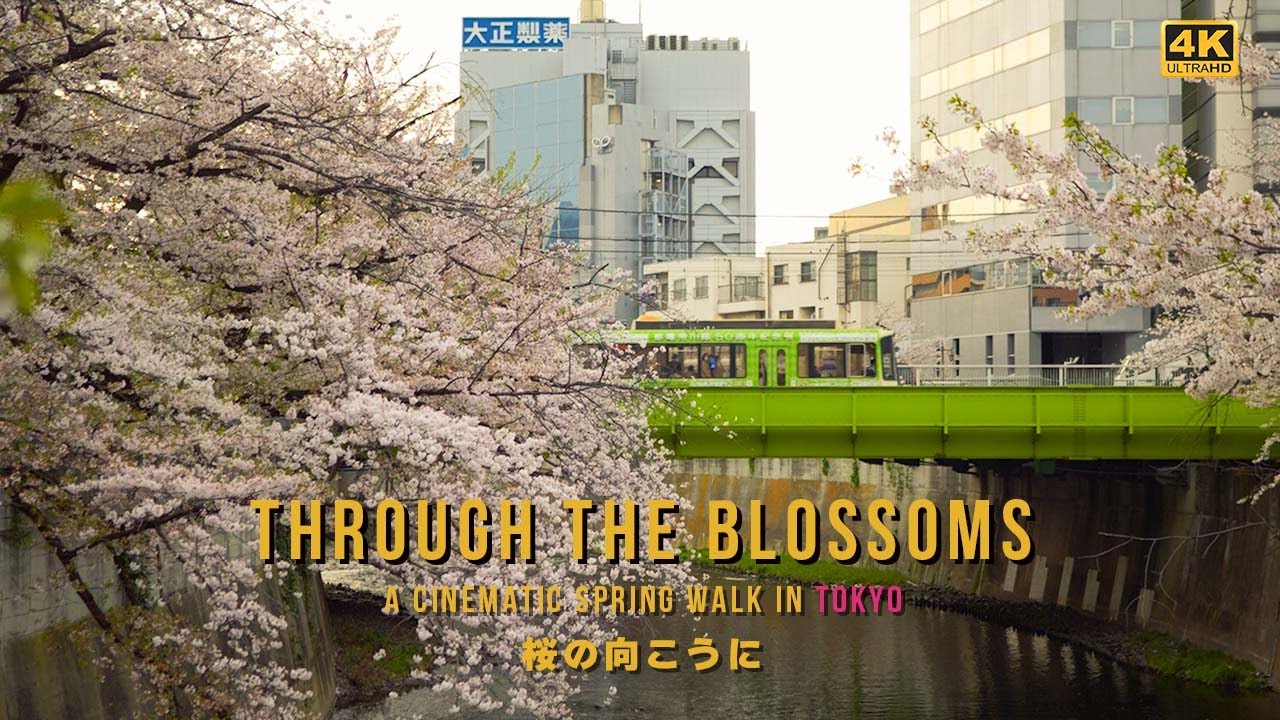 【Cinematic Japan】When Sakura Meets the Train｜サクラと電車が出会う街、高田馬場｜LUMIX GH7