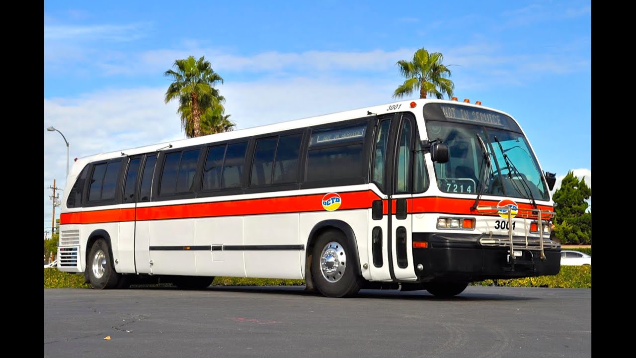 Bus Galore!