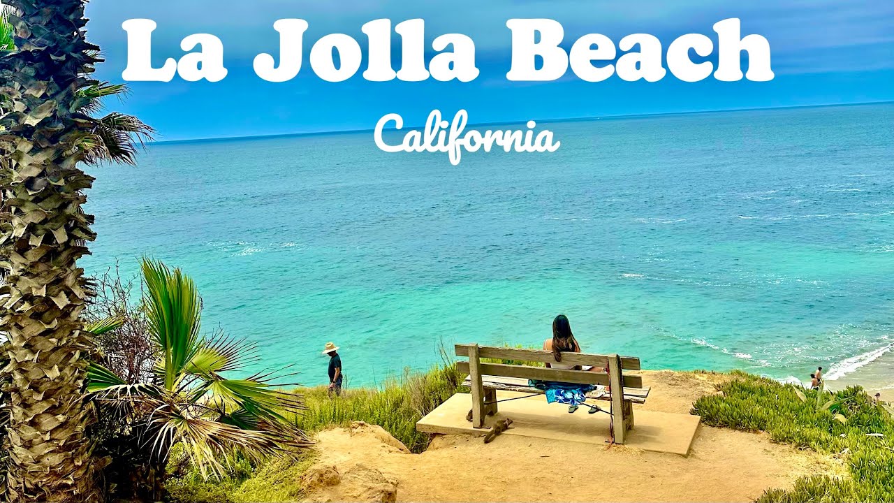 La Jolla Beach California Walking Tour 🌴🌊 [4K]