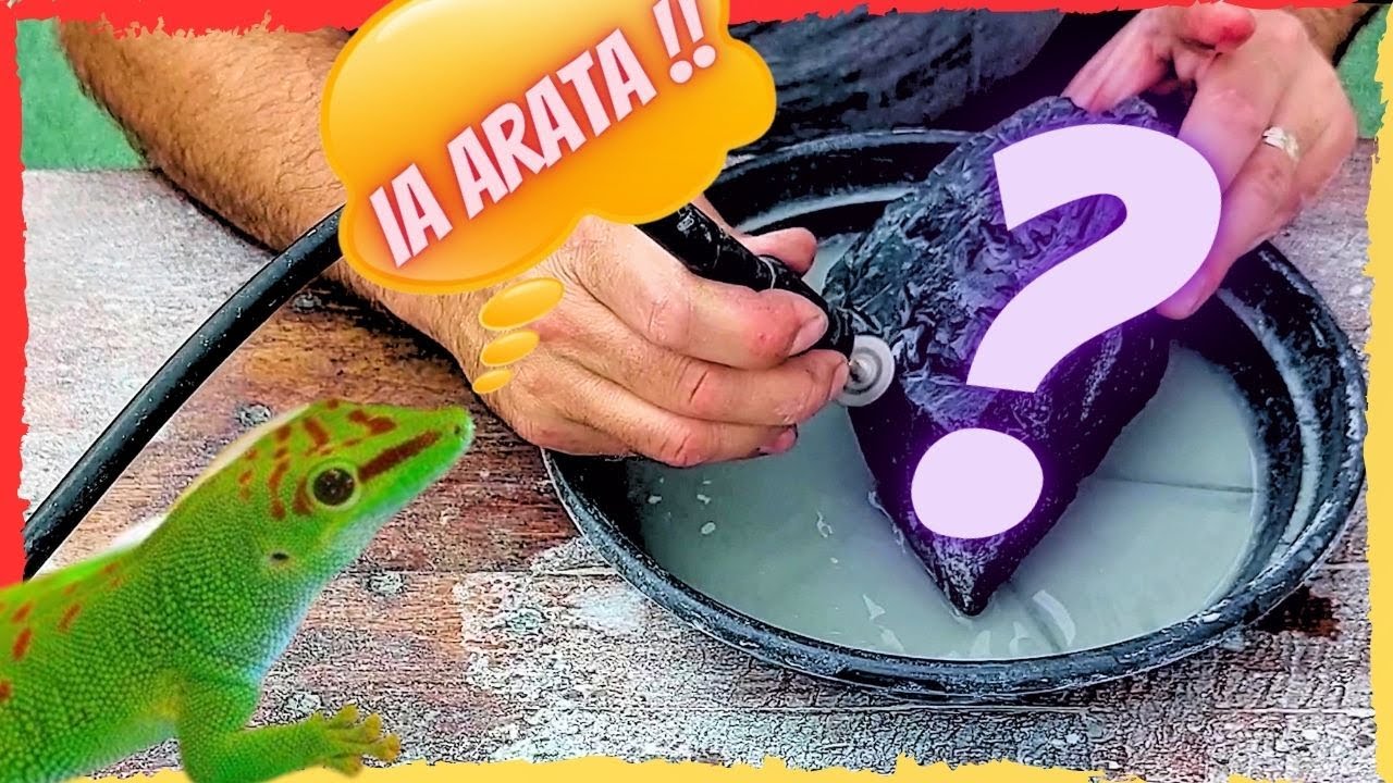Gasesc o Piatra si castig un Decor de Gradina