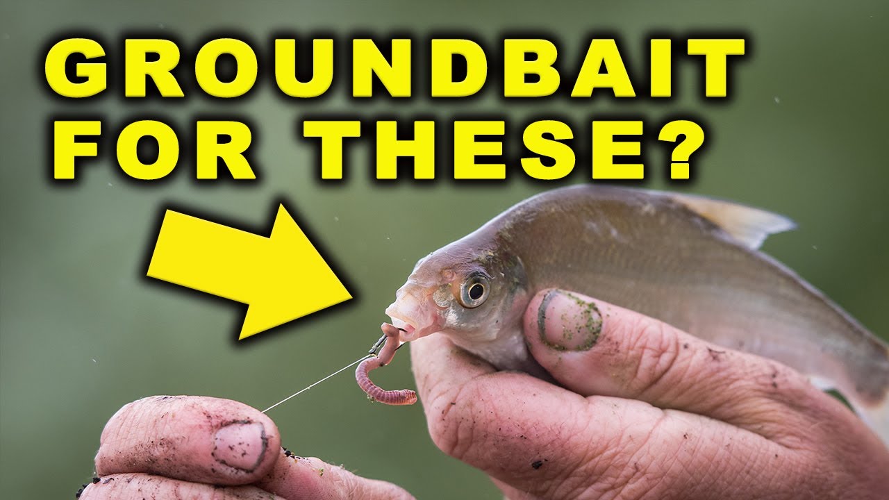 WHY USE GROUNDBAIT FOR SILVER FISH? - 4 MINUTE FRIDAY #3