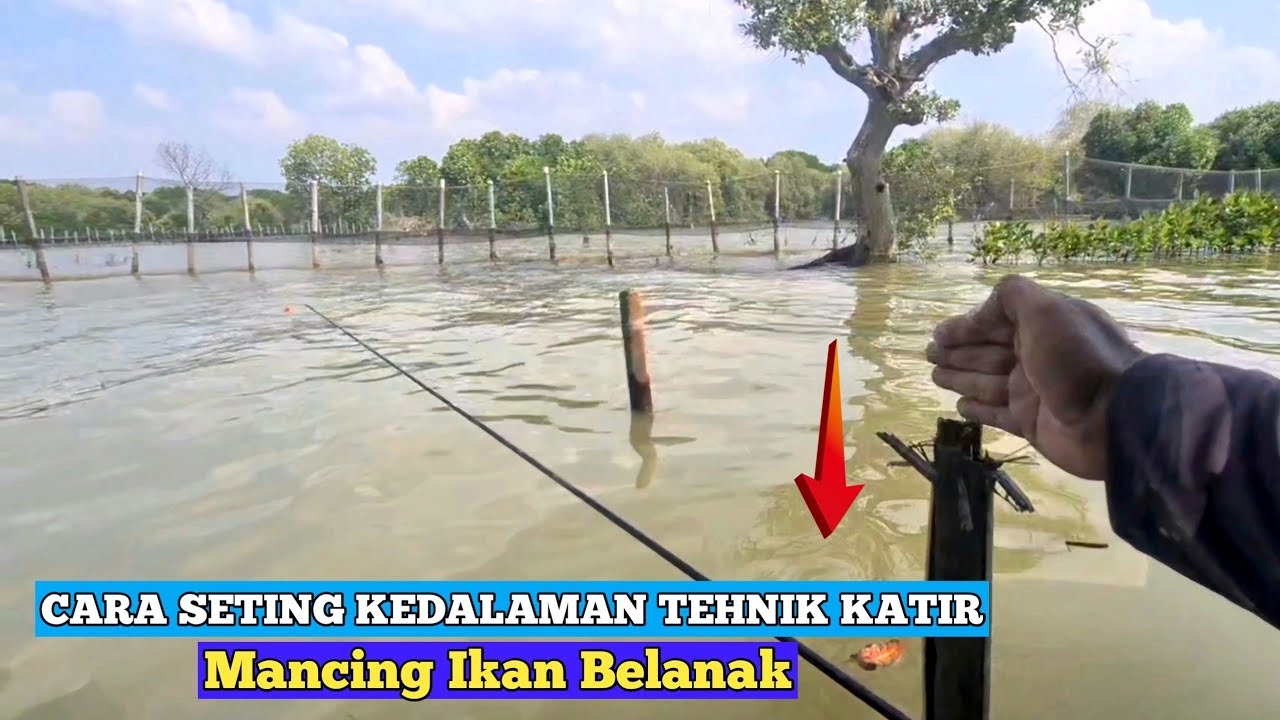 Cara Setting Kedalaman Tehnik Katir Mancing Ikan Belanak