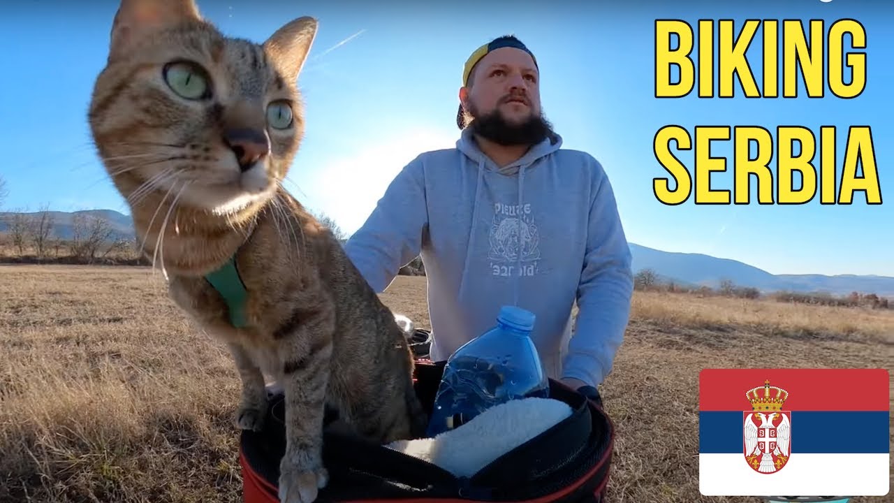 Journey through Serbia featuring sexy cat 🇷🇸