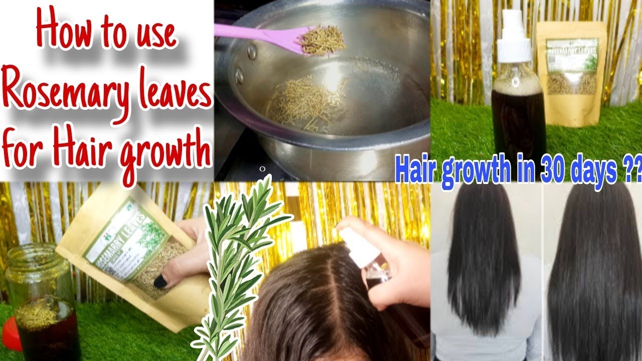 how to use Rosemary leaves water for hair growth