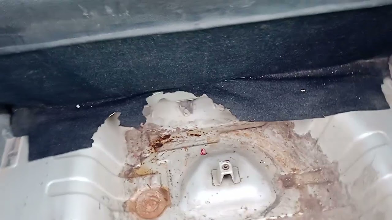 #Alto 800