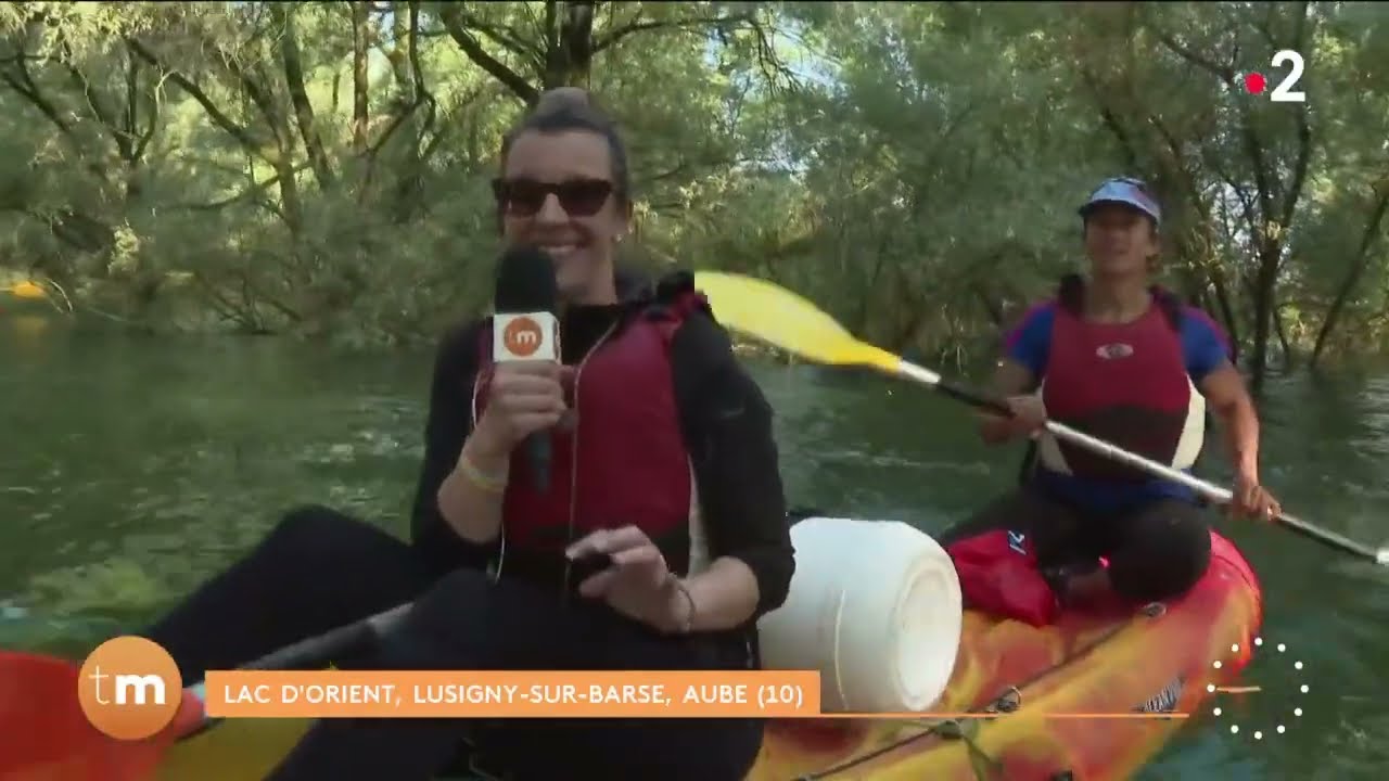 La forêt immergée du Lac d'Orient // Télématin - Fenêtre sur les régions - France 2