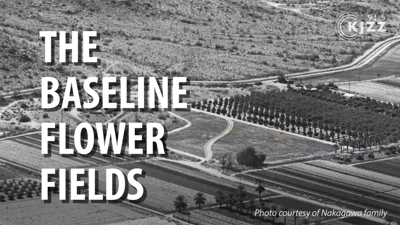 The Baseline Flower Fields