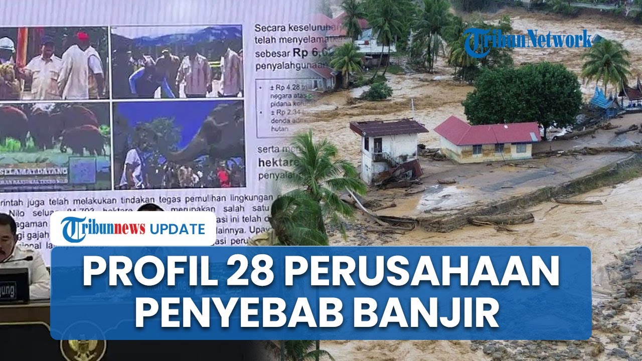 Terbongkar 28 Perusahaan Penyebab Banjir Sumatera, Izin Dicabut Presiden Prabowo: Pelanggar Aturan