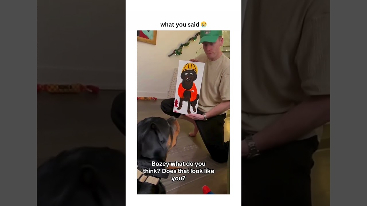 dogs being idiots 