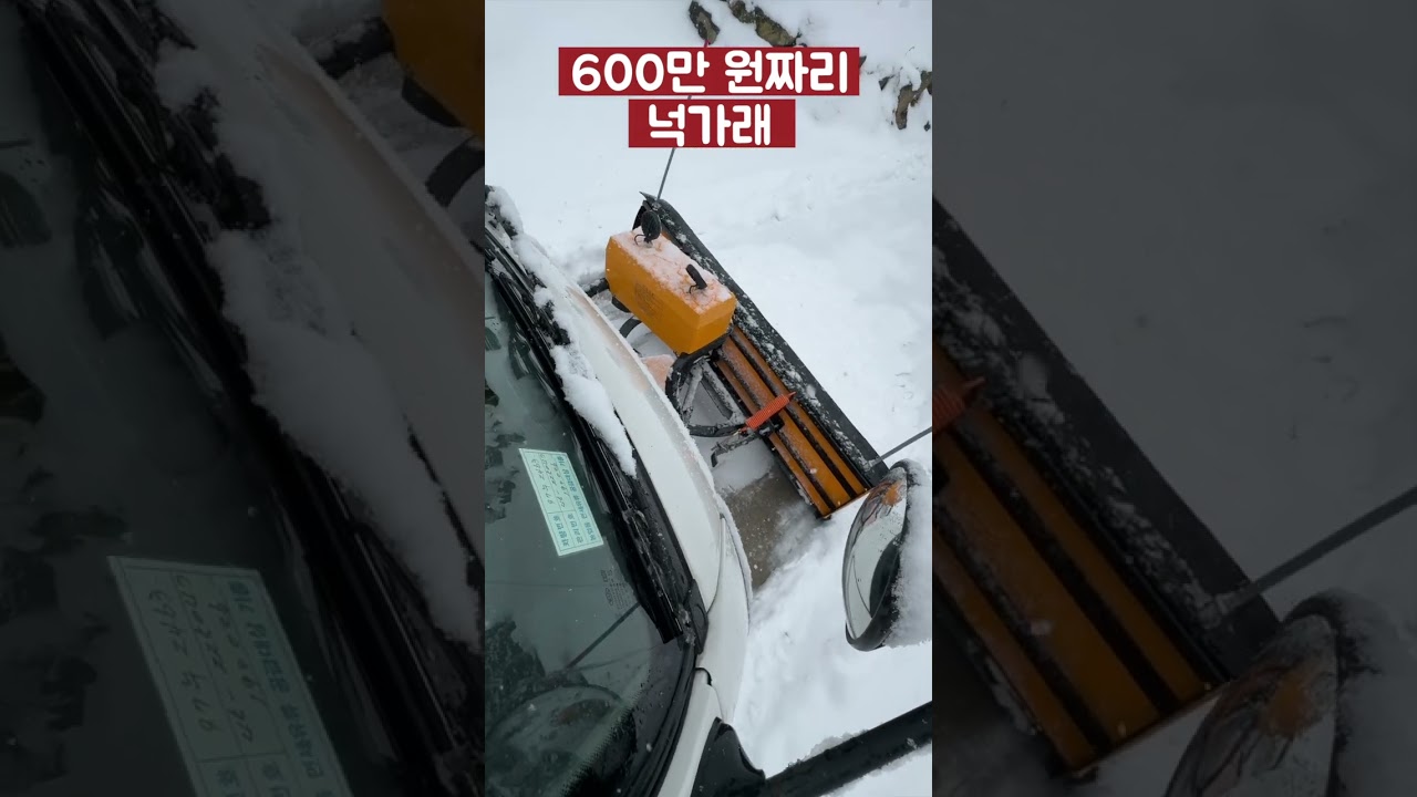 600만 원짜리 넉가래 #시골피디 #넉가래 #제설작업 #제설 #제설차 #제설기