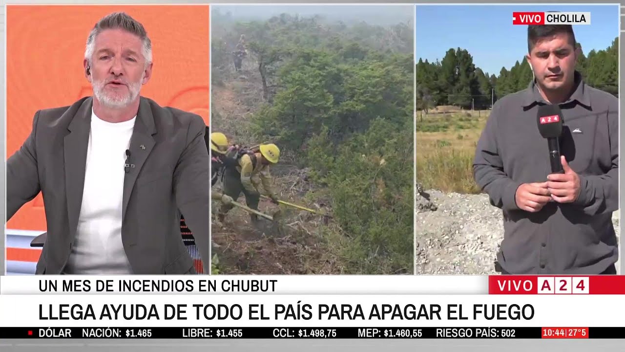 🔥 INCENDIOS EN CHOLILA: BRIGADISTAS REFUERZAN EL COMBATE AL FUEGO