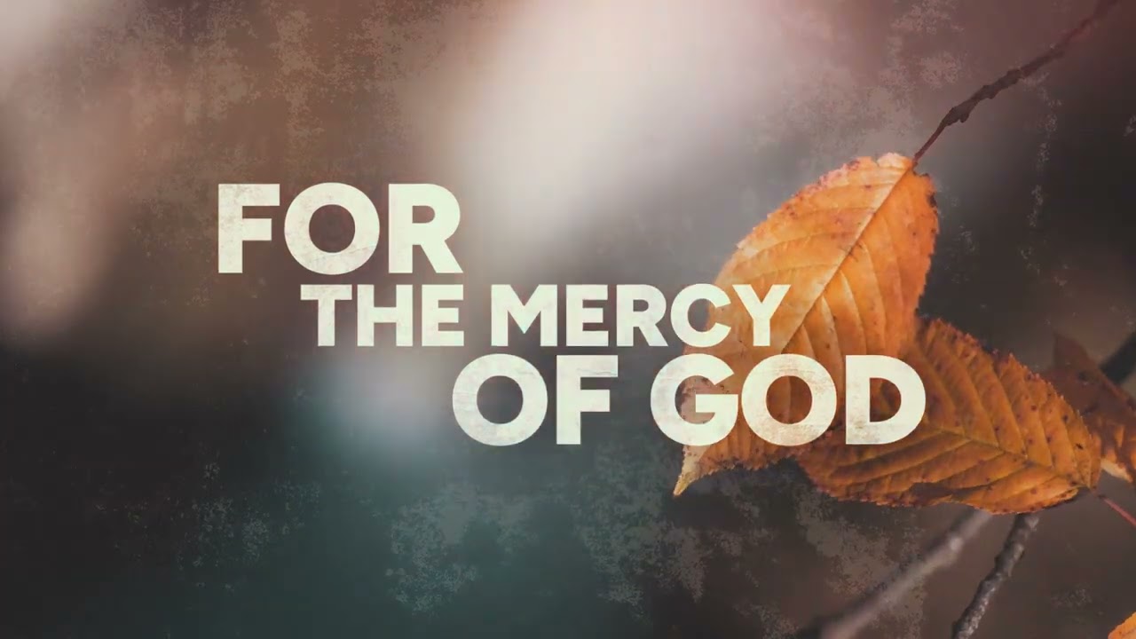What Are You Thankful For Today?